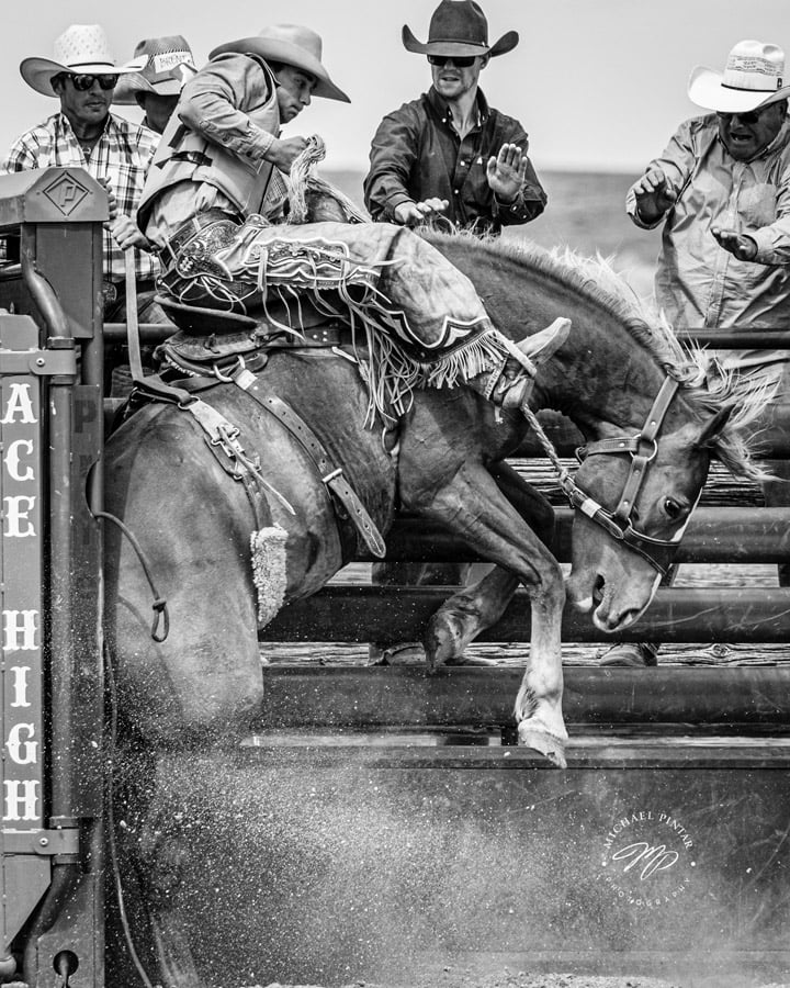 BLACKRAPID SPOTLIGHT: Michael Pintar 5