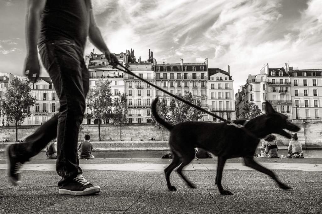 BLACKRAPID Guest Post by Christopher Broughton | Christopher Broughton Photography 1 Street Photography by Christopher Broughton