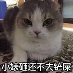 吃瓜爆料黑料喵小吉,揭秘娱乐圈黑料风云
