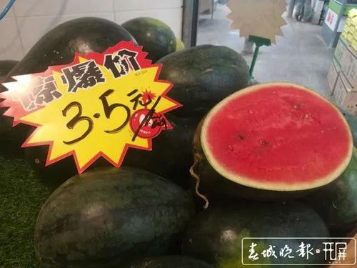 51黑料吃瓜网站长工具,网站长工具助力吃瓜群众轻松追踪热点事件