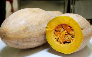 癌症可以吃黑蜜瓜吗好吗,黑蜜瓜的营养益处与食用建议
