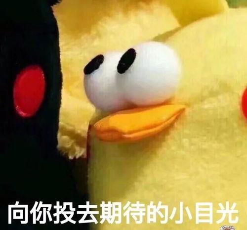 小八月吃瓜黑仔,揭秘娱乐圈幕后故事