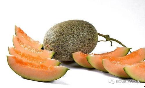 黑料吃瓜精品一区,吃瓜群众的热议焦点