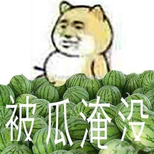 黑瓜吃料视频进不去了,揭秘背后原因及应对策略