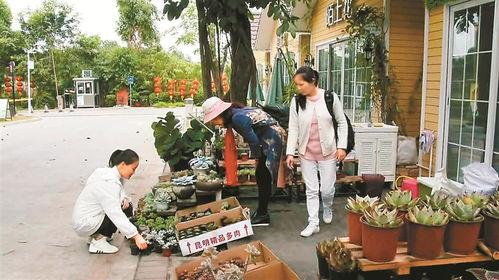 长沙花店老板娘吃瓜黑料,揭秘背后的吃瓜黑料风云