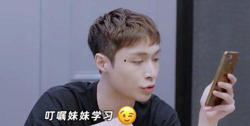 吃瓜黑料正能量爆料蘑菇视频,吃瓜黑料正能量，揭秘娱乐圈幕后真相