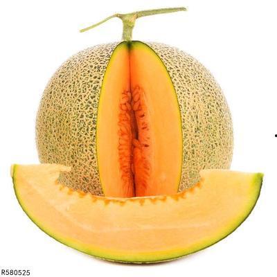 黑兔可以吃哈密瓜吗图片,一场意外的美食邂逅